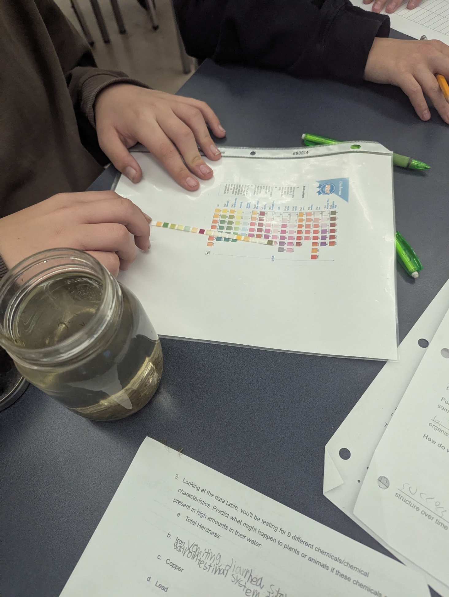 Student reading testing strip