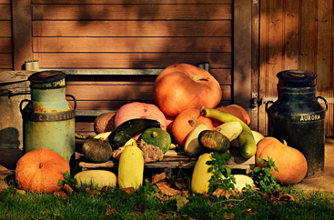 Pumpkins Fall Autumn