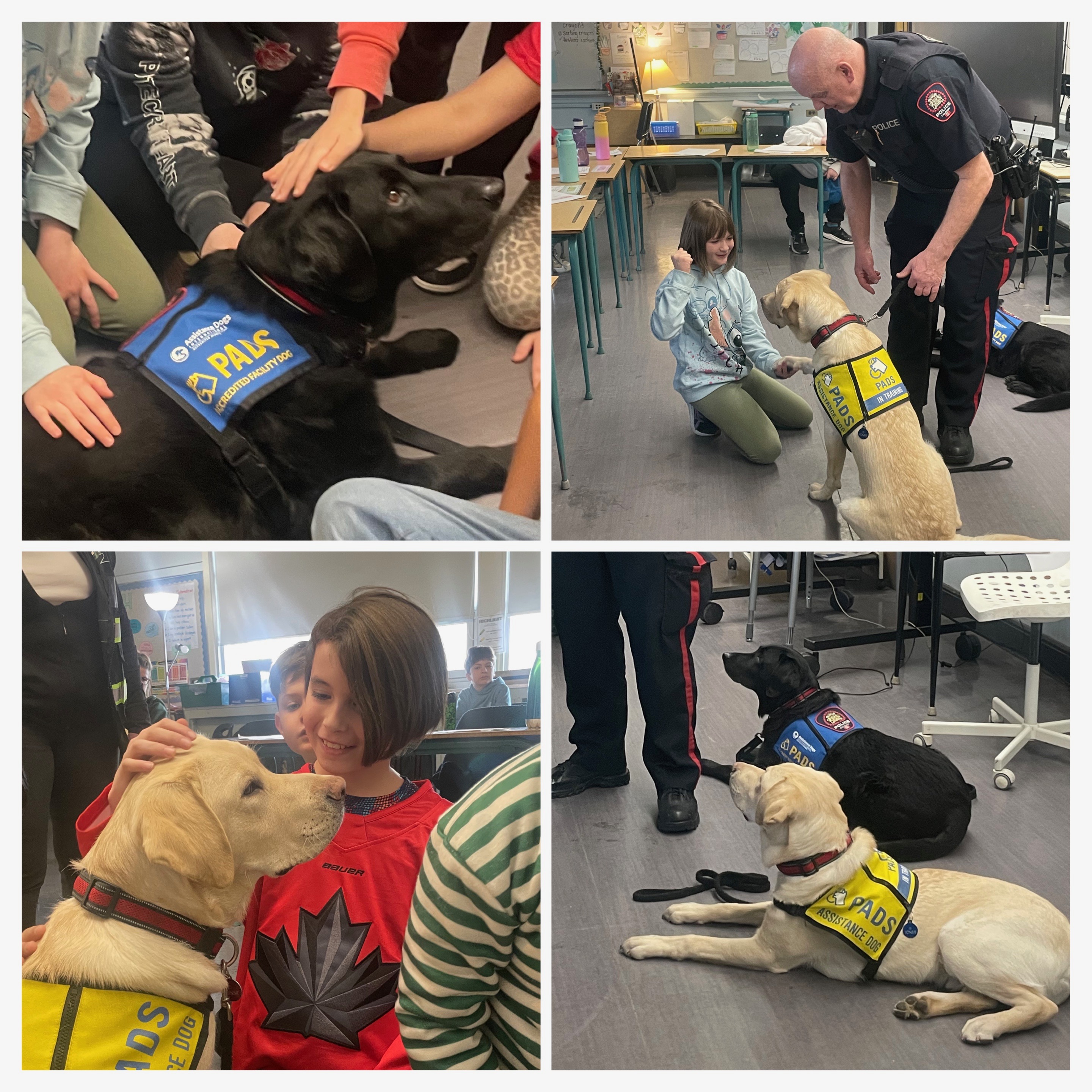 8924A052 041F 43E9 8DBB 8F2B0F331777